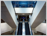 Lighting Design - Automotive